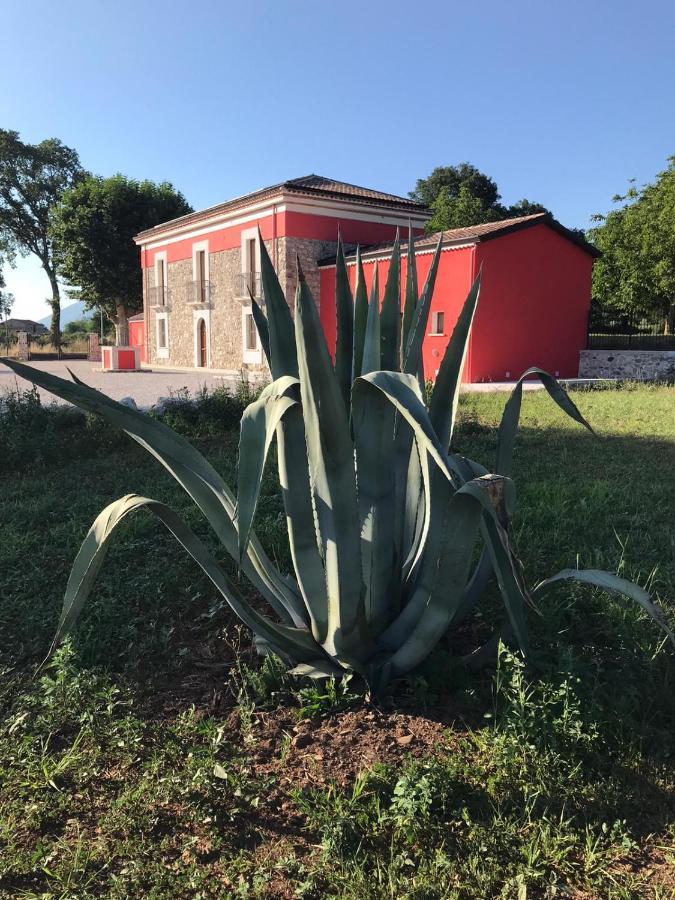 פדולה Agriturismo Dipinto Dal Sole מראה חיצוני תמונה